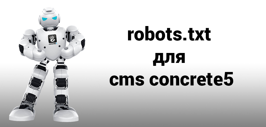 Правильный Robots.txt для cms